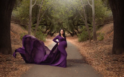 Captivating Full Sleeves Maternity Dress for Photoshoots