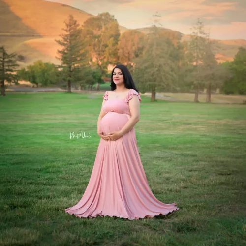 Blush Gorgeous Maxi Maternity Gown for Women